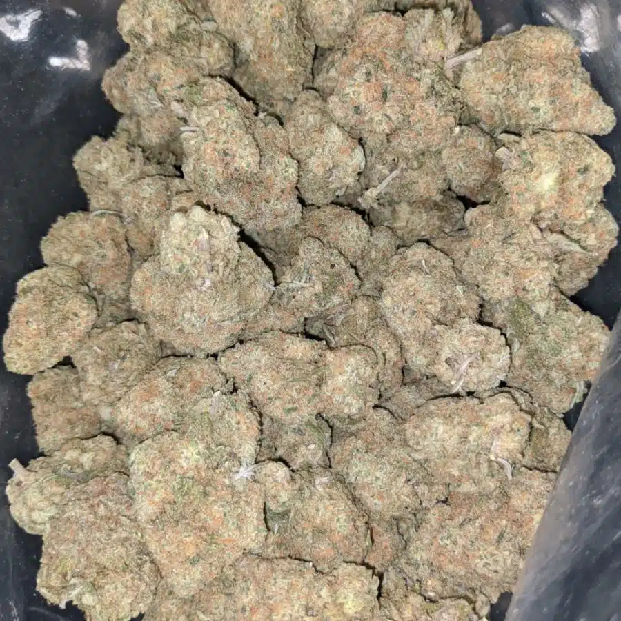 platinum cheese cake 2 I $ 71 Oz - Platinum Cheesecake