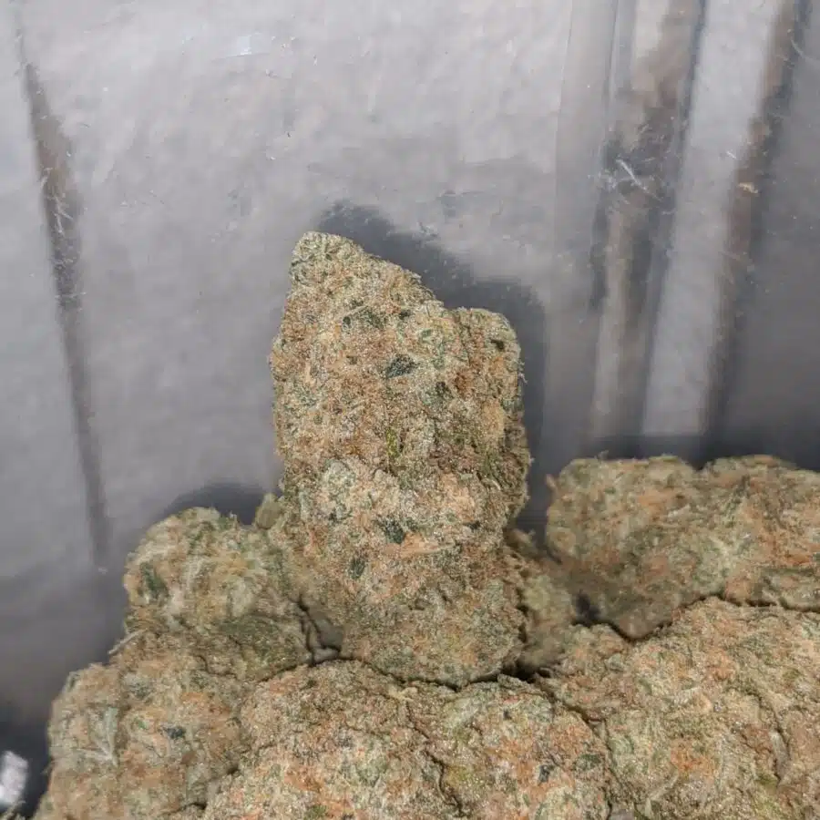 platinum cheese cake 3 I $ 71 Oz - Platinum Cheesecake