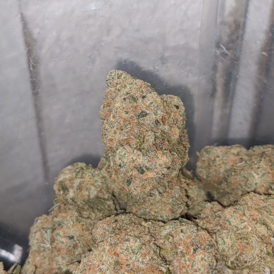 platinum cheese cake 4 I Platinum Cheesecake