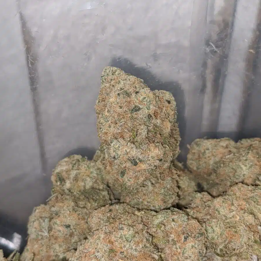 platinum cheese cake 4 I $ 71 Oz - Platinum Cheesecake