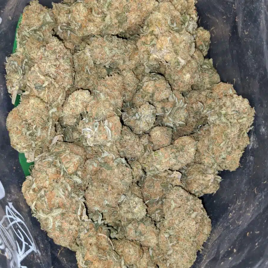 sugar cookies 1 I $ 62 Oz - Sugar Cookies