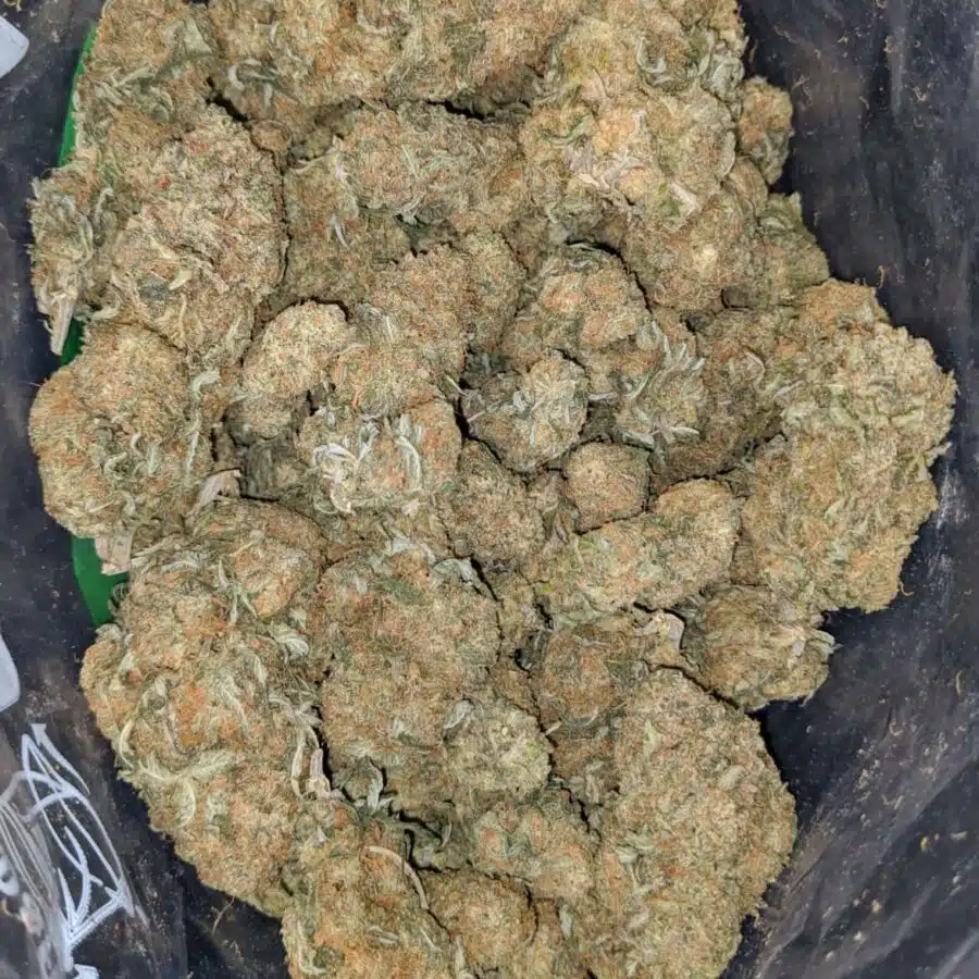 sugar cookies 2 I $ 62 Oz - Sugar Cookies