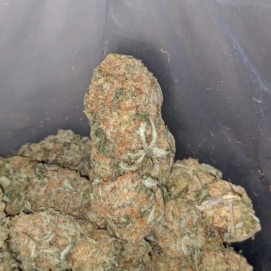 sugar cookies 3 I $ 62 Oz - Sugar Cookies