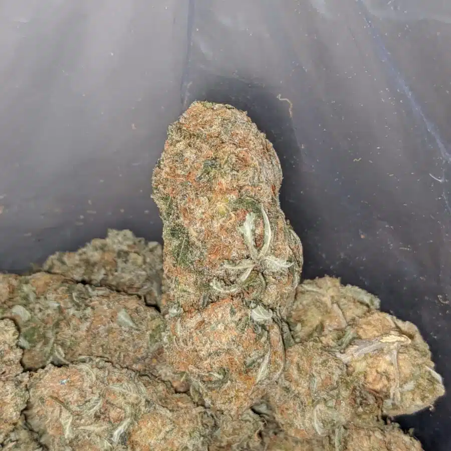 sugar cookies 4 I $ 62 Oz - Sugar Cookies