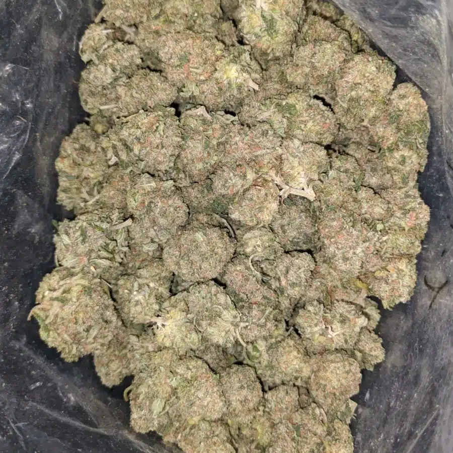tonys rockstar bubba kush 1 I $ 66 Oz - Rockstar Bubba