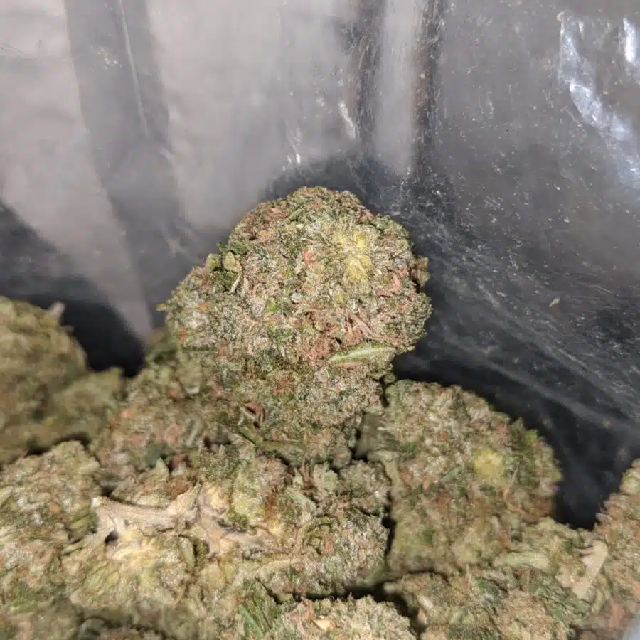 tonys rockstar bubba kush 3 I $ 66 Oz - Rockstar Bubba
