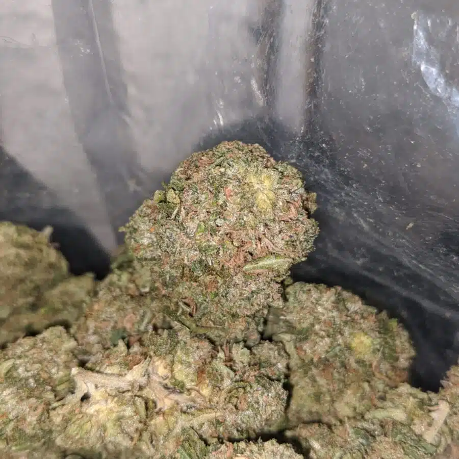 tonys rockstar bubba kush 4 I $ 66 Oz - Rockstar Bubba