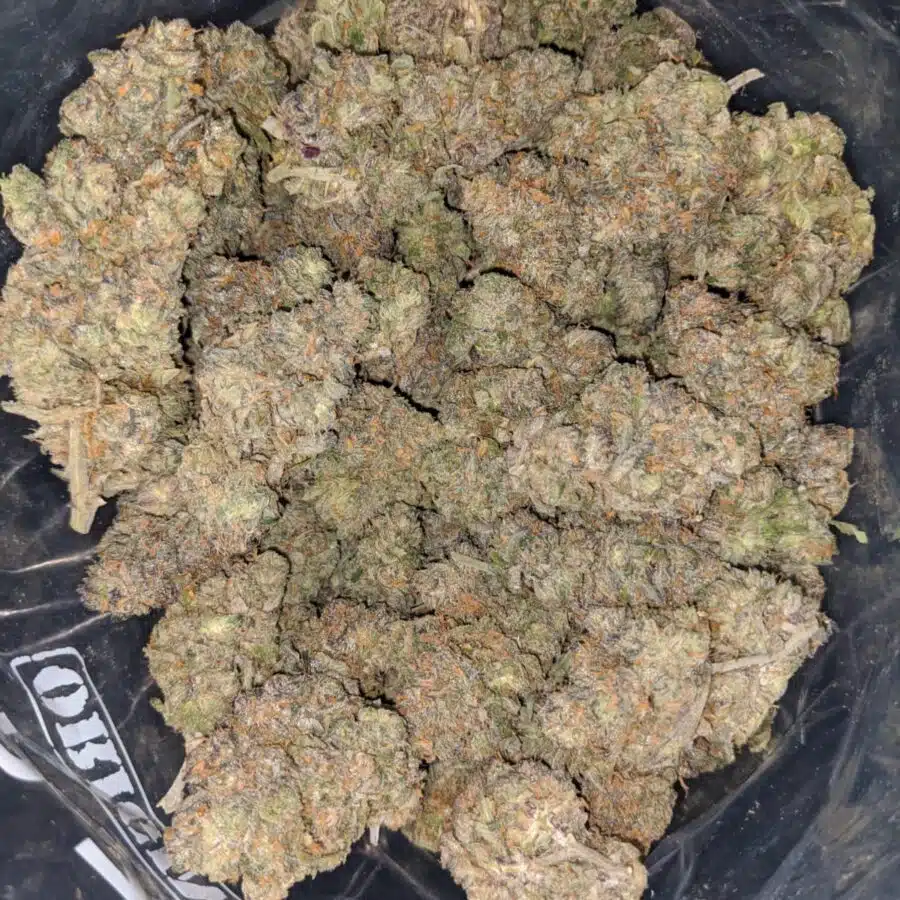 zkittles x gelato 1 I Zkittles X Gelato