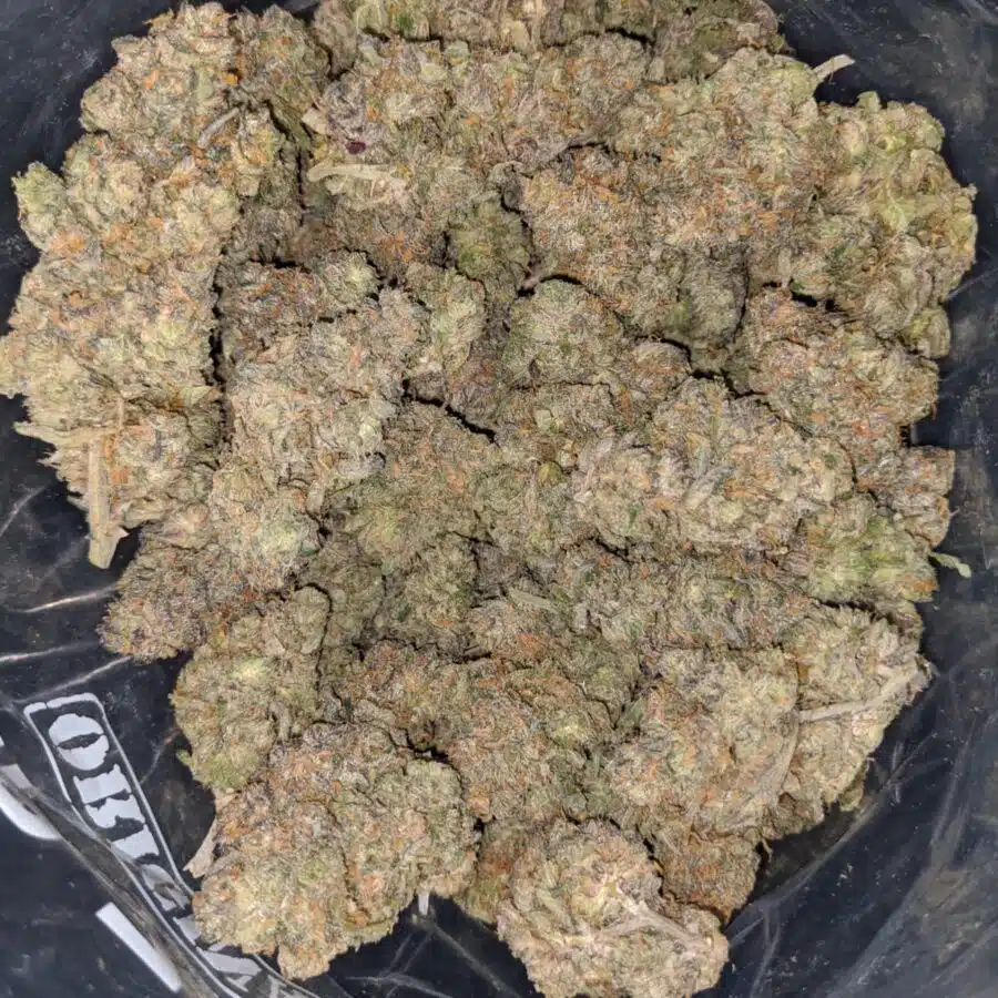 zkittles x gelato 2 I Zkittles X Gelato