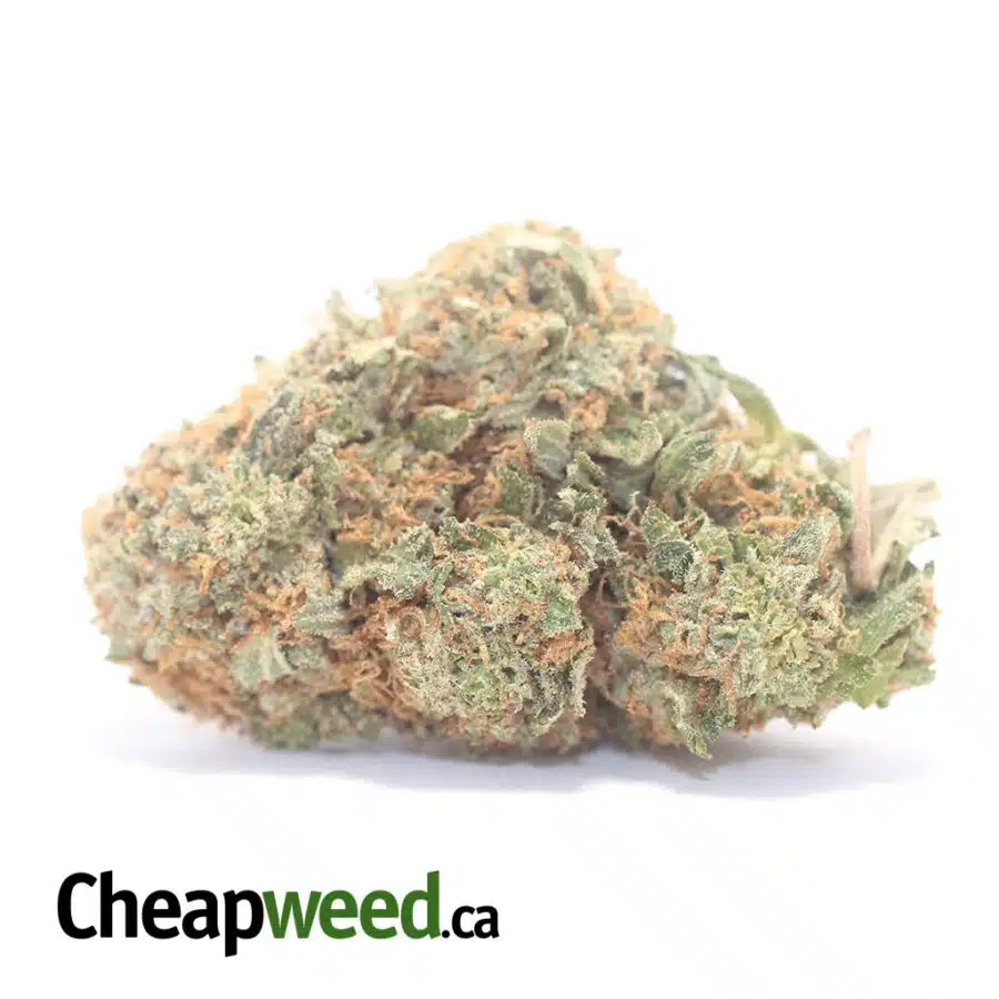 $64 Oz - Cookie Monster