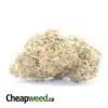 Chimera - *Deal Of The Day*