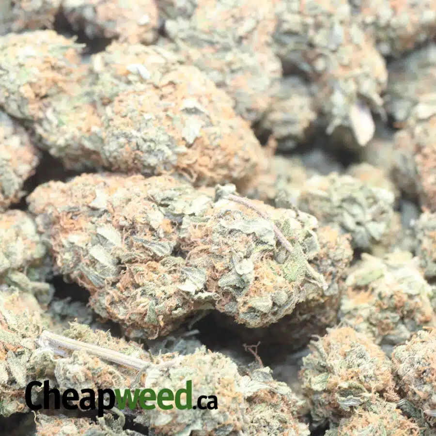 COOKIE DOUGH 1 I $59 Oz - Cookie Dough