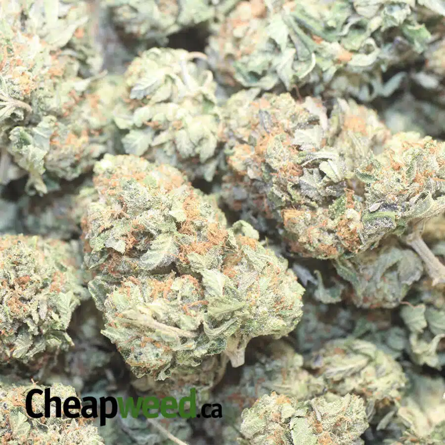Death Star Bubba - Image 3