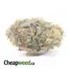 Death Star Bubba