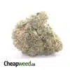 Greenfarm's Black Tuna