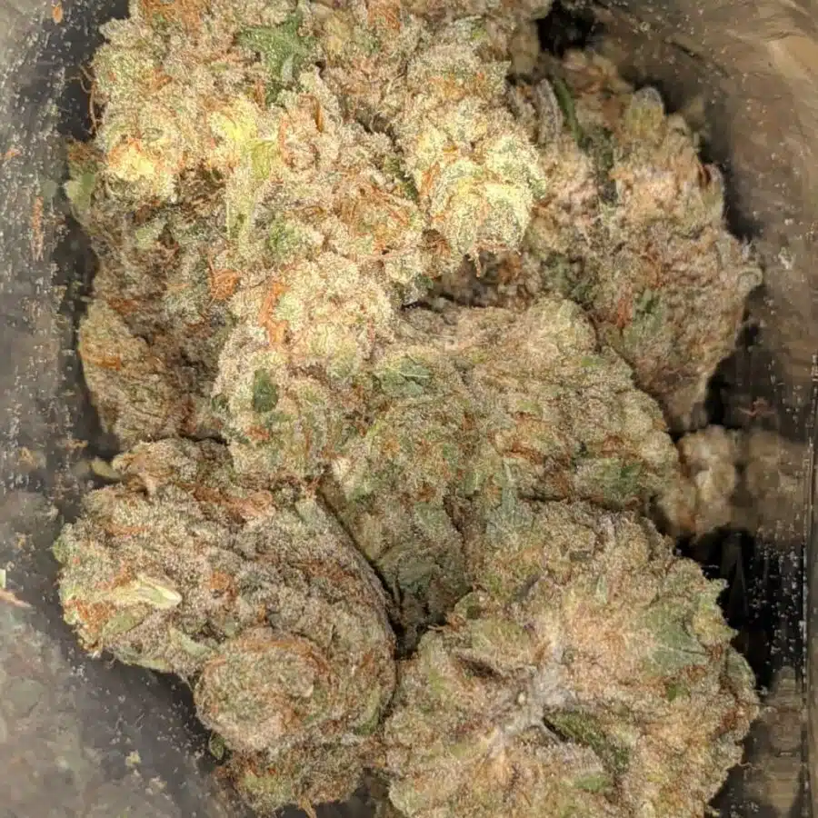 $ 100 Oz - Gelato # 33