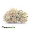 Master Yoda OG