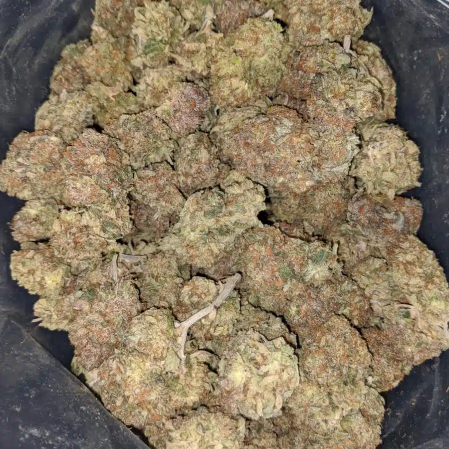 Mimosa Cookies