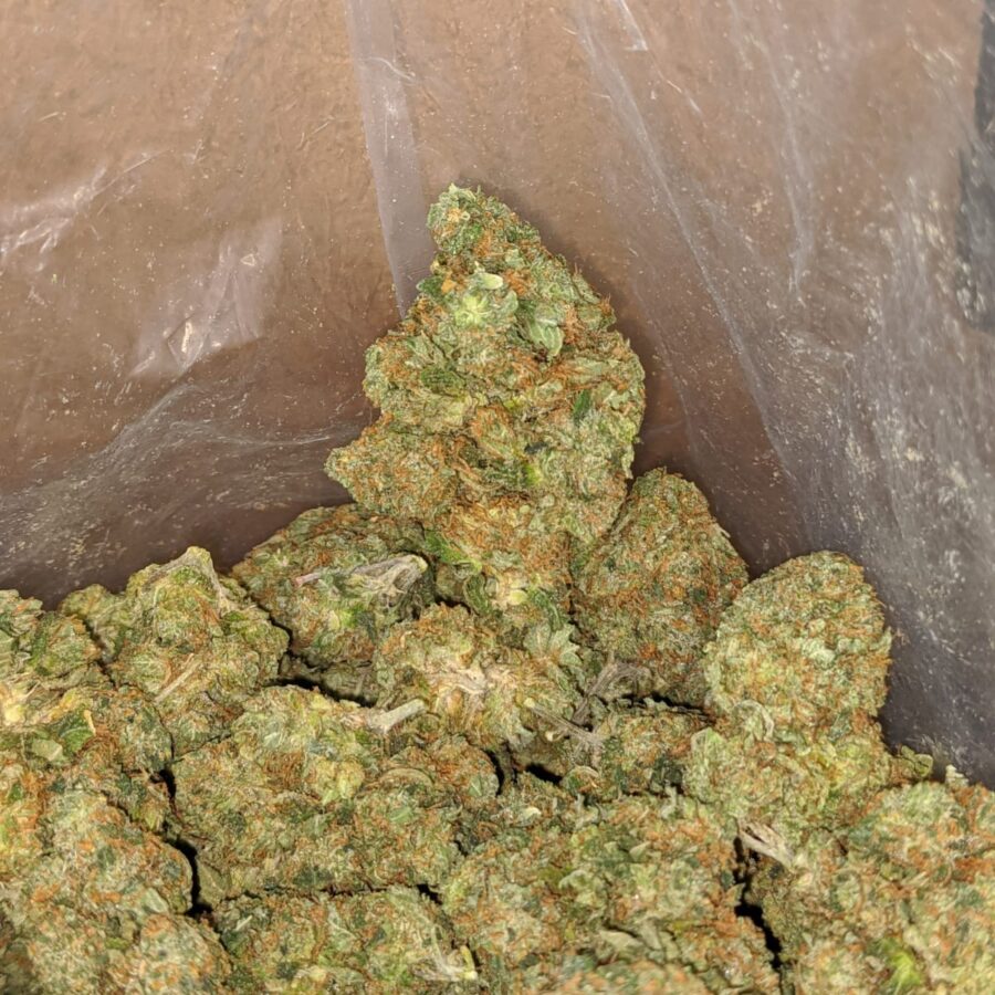 Rock bud 2 I Rock bud