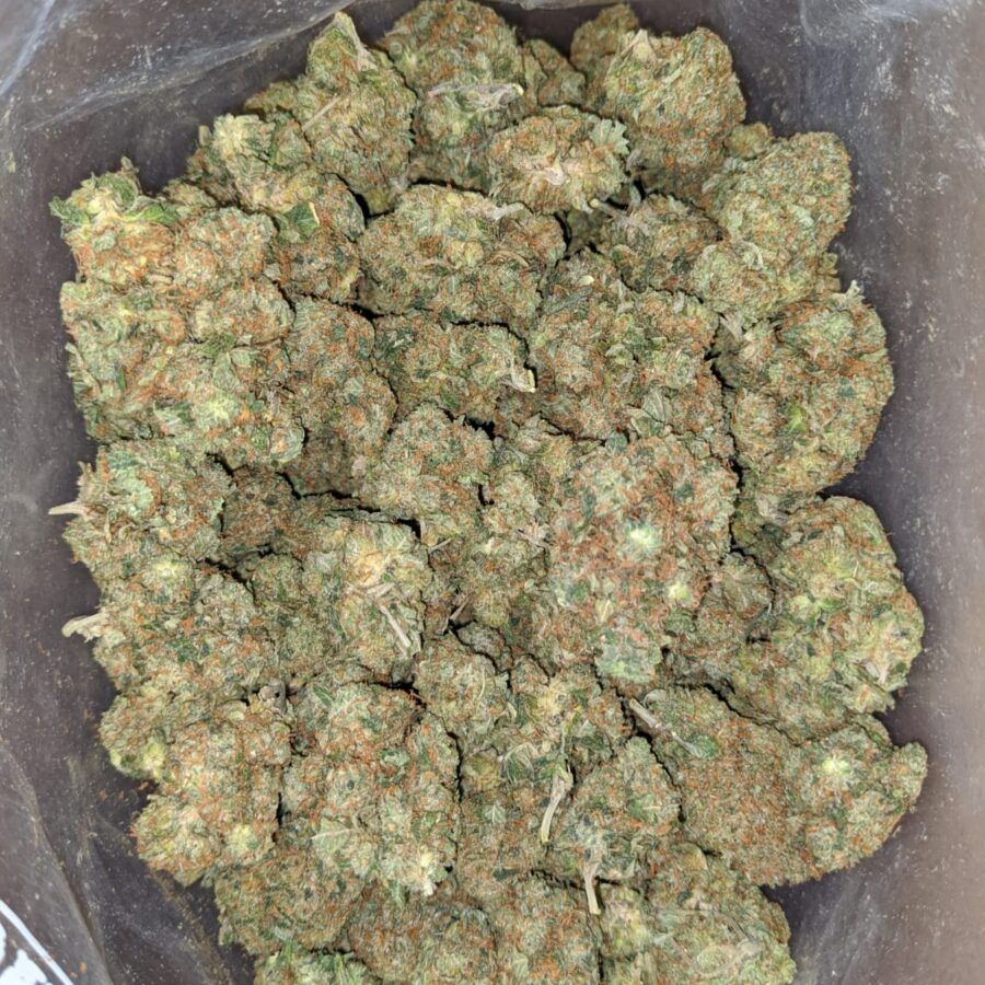 Rock bud 3 I Rock bud