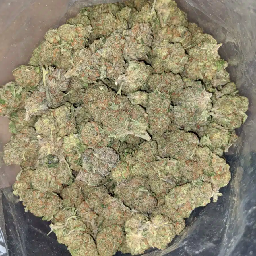 $ 68 Oz - Sundae Driver