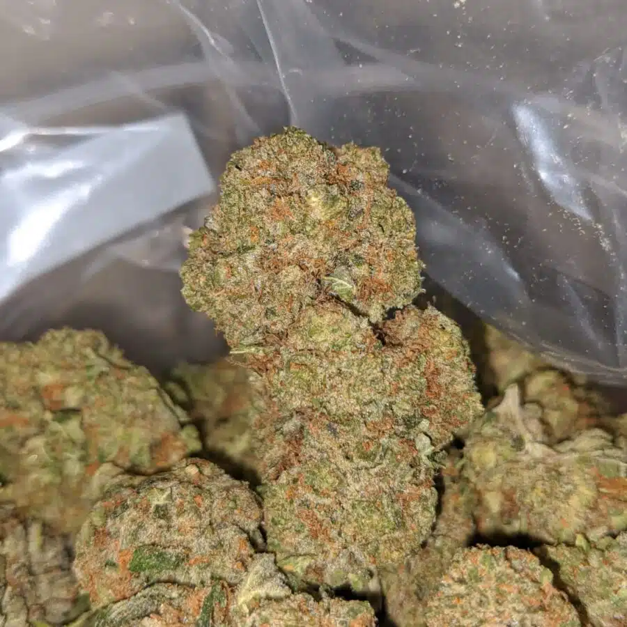 Alternative view of $ 68 Oz - Sundae Driver