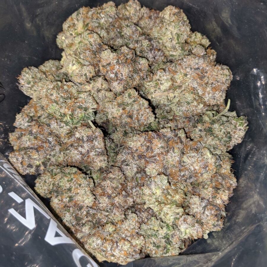 WhatsApp Image 2023 08 04 at 2.30.28 PM I Platinum Rockstar