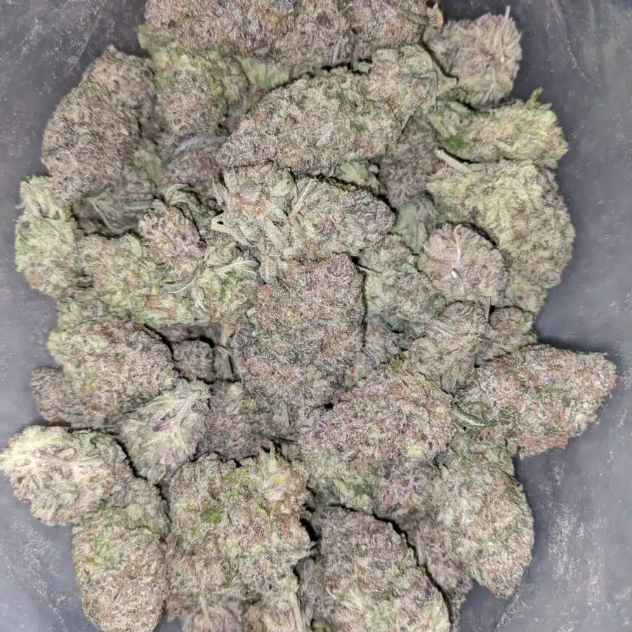 WhatsApp Image 2024 02 22 at 1.46.59 PM I Purple Berry