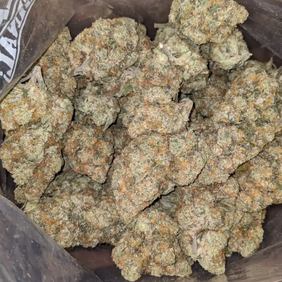 WhatsApp Image 2026 04 21 at 11.34.23 PM 1 I $ 82 Oz - Hawaiian Mayan Gold