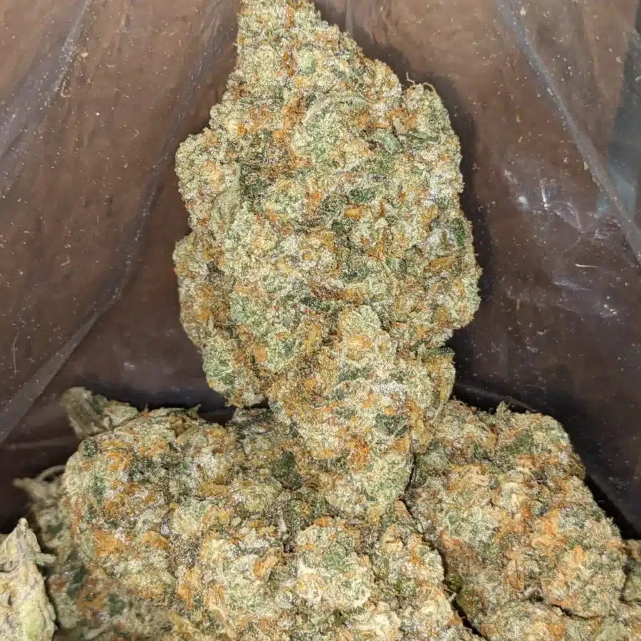 WhatsApp Image 2026 04 21 at 11.34.23 PM 2 I $ 82 Oz - Hawaiian Mayan Gold