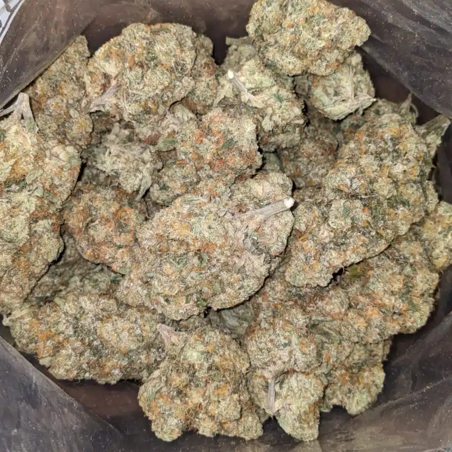 WhatsApp Image 2026 04 21 at 11.34.23 PM I $ 82 Oz - Hawaiian Mayan Gold
