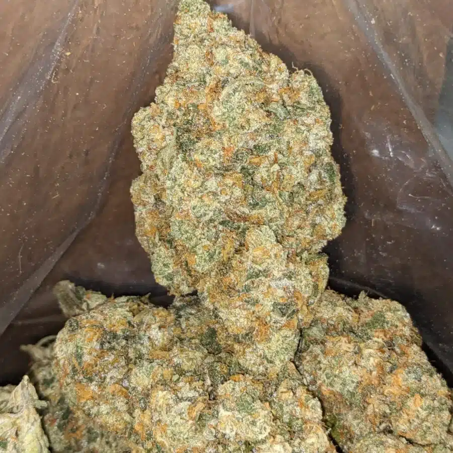 WhatsApp Image 2026 04 21 at 11.34.24 PM I $ 82 Oz - Hawaiian Mayan Gold