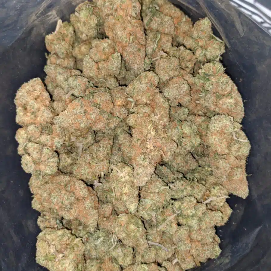 berry bomb deal of the day 1 I $ 57 Oz - Berry Bomb