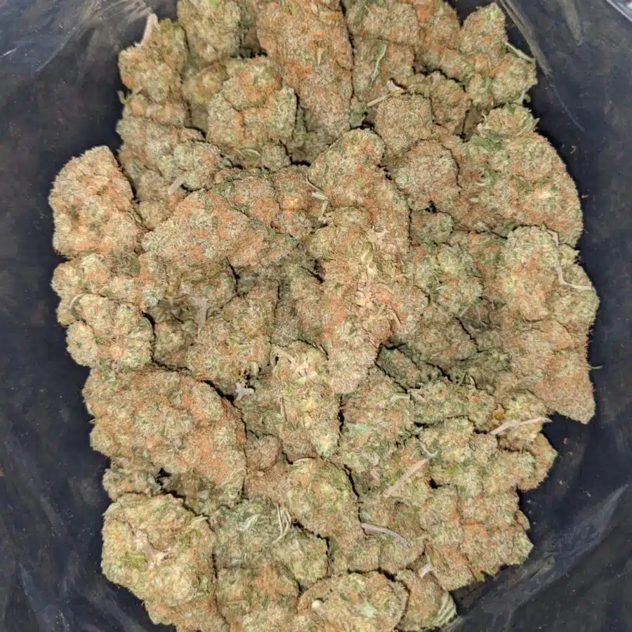 berry bomb deal of the day 2 I $ 57 Oz - Berry Bomb