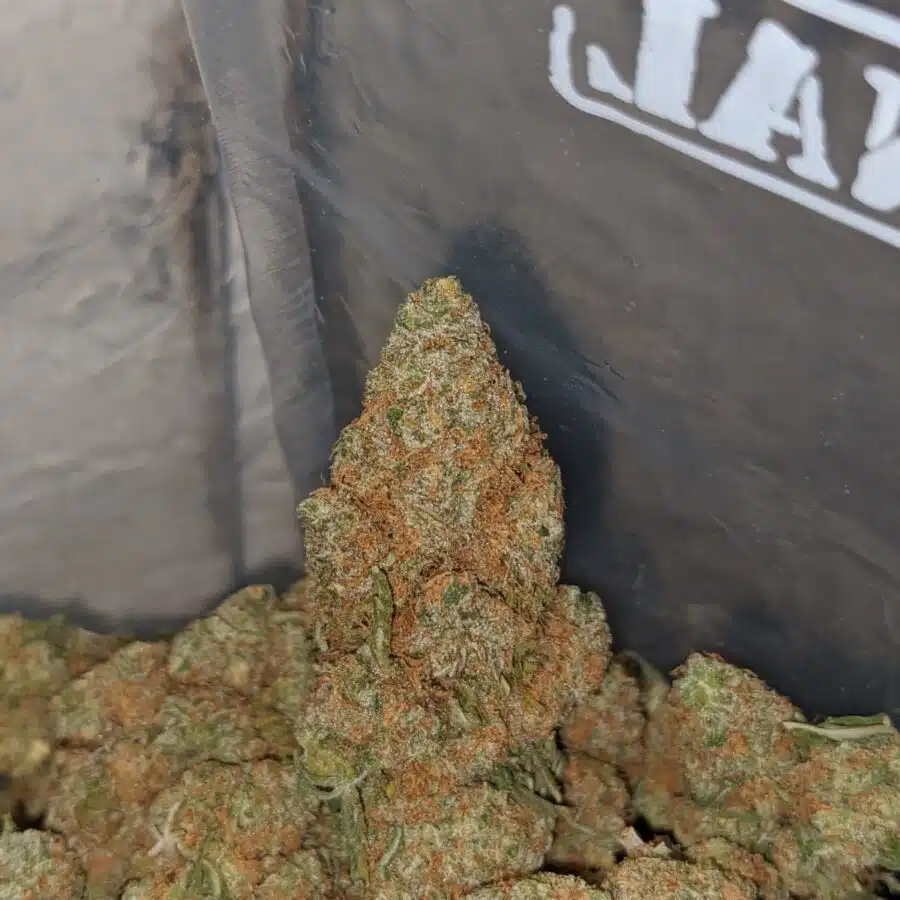 berry bomb deal of the day 3 I $ 57 Oz - Berry Bomb
