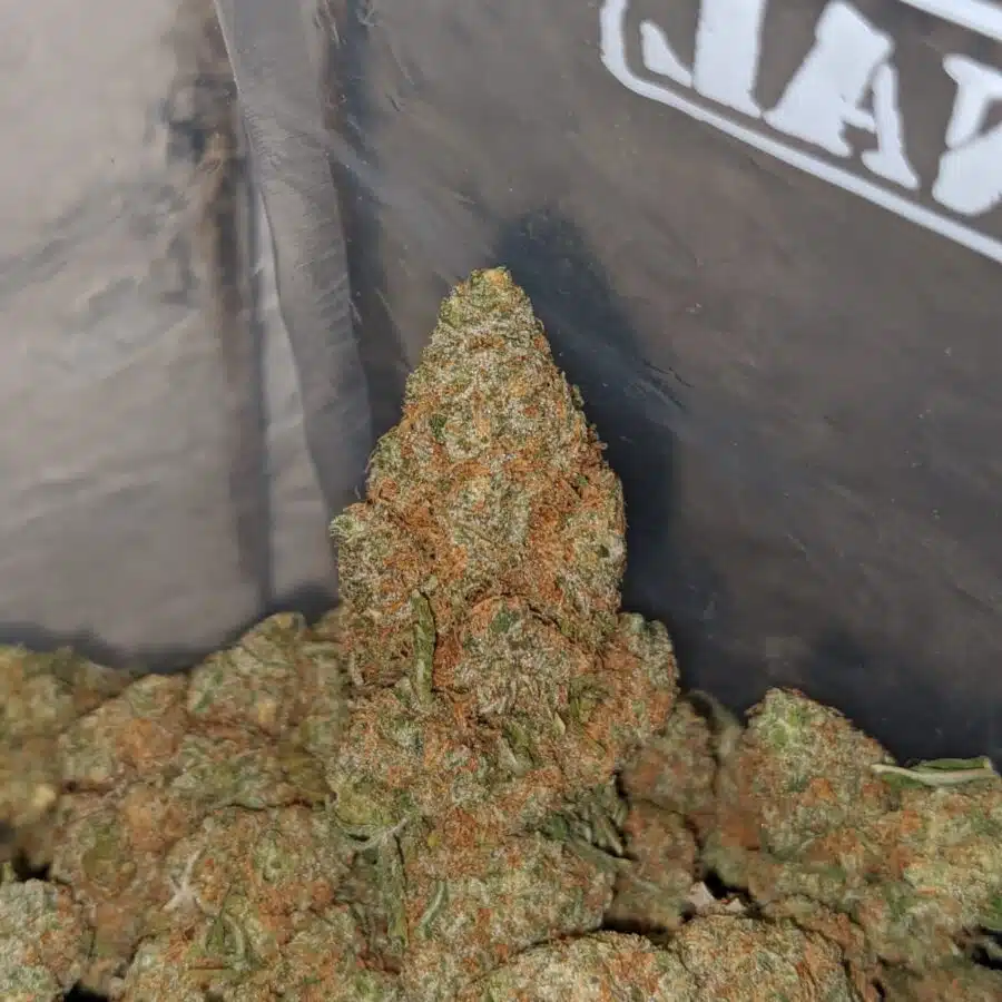 berry bomb deal of the day 4 I $ 57 Oz - Berry Bomb