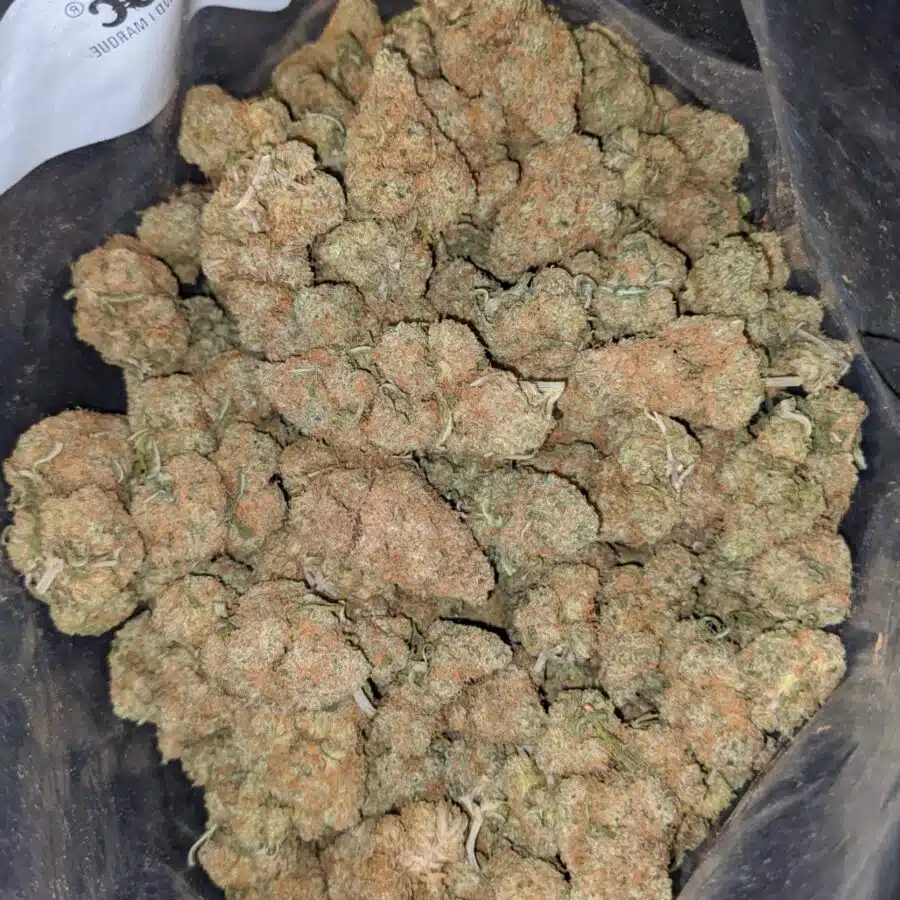 berry gelato smalls deal of the day 2 I Berry Gelato (Smalls) - *Deal Of The Day*