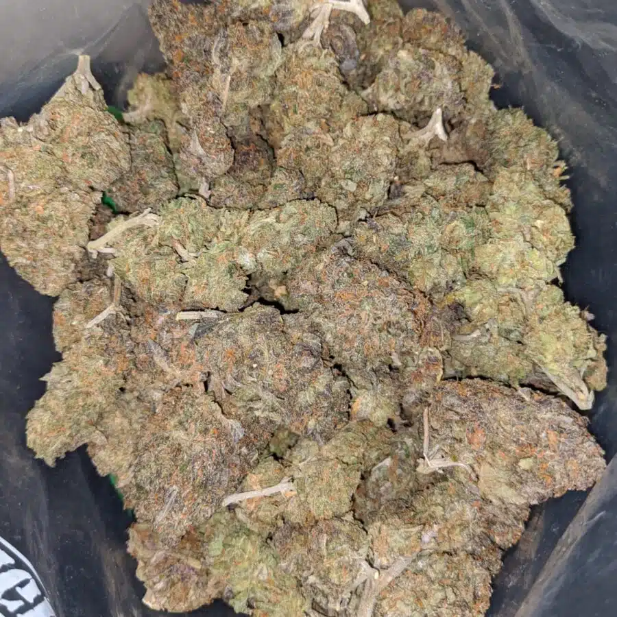 birthday cake 1 I Purple Kandy