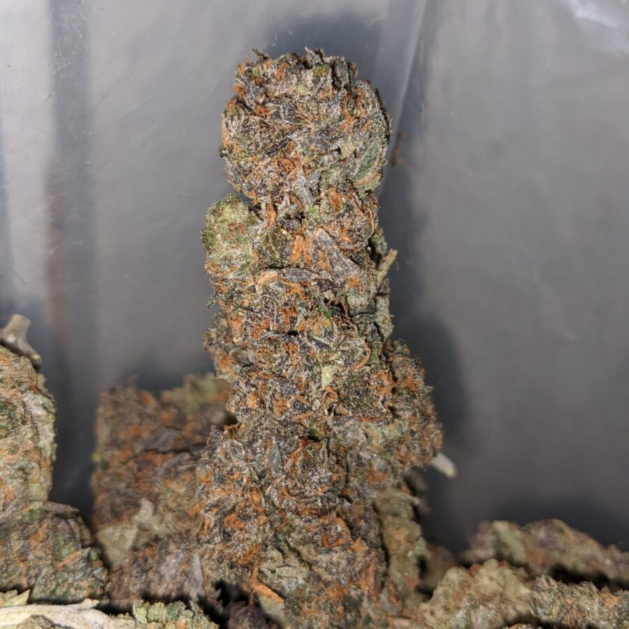 Purple Kandy - Image 4