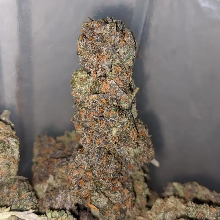 birthday cake 3 I Purple Kandy