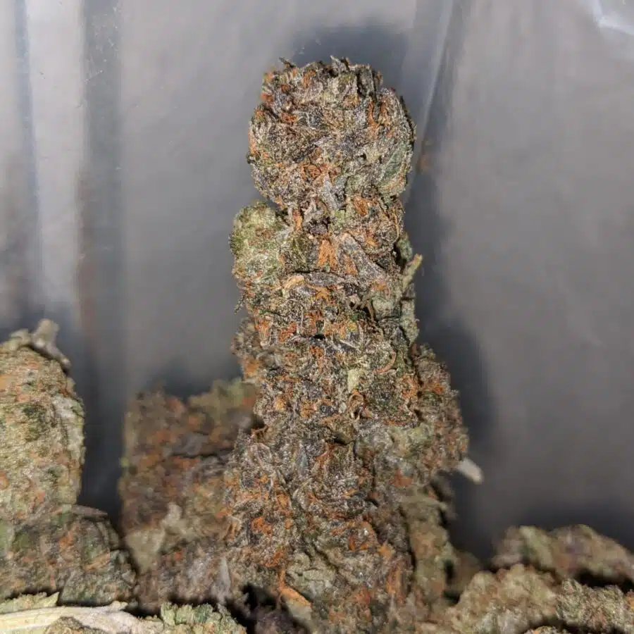 birthday cake 4 I Purple Kandy