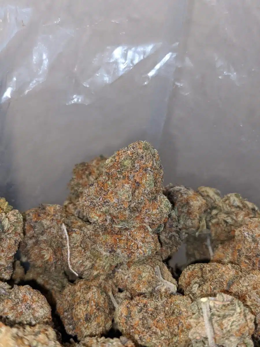 Buy Bulk Cactus Breath Strain - Cheap Weed Pounds & Reviews