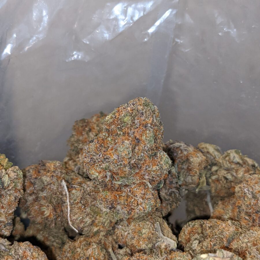Cactus Breath - Image 6