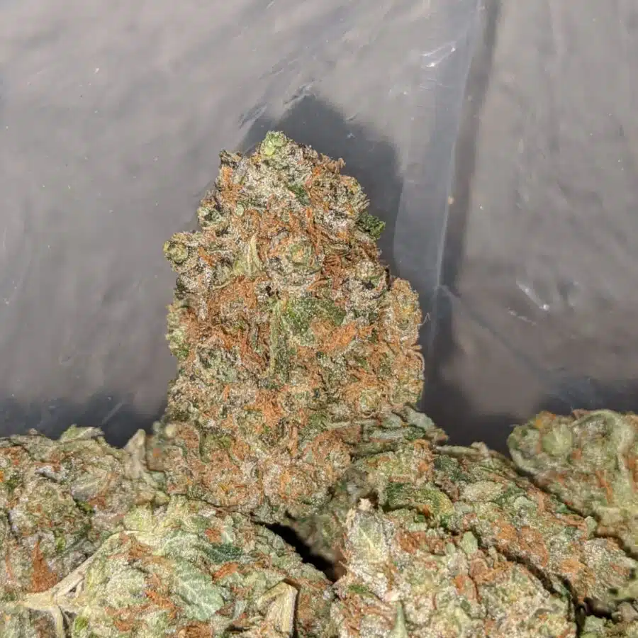 cookie dough 1 I $ 72 Oz - Cookie Dough