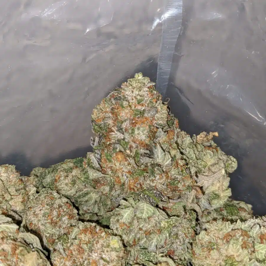 Death Star Bubba - Image 4