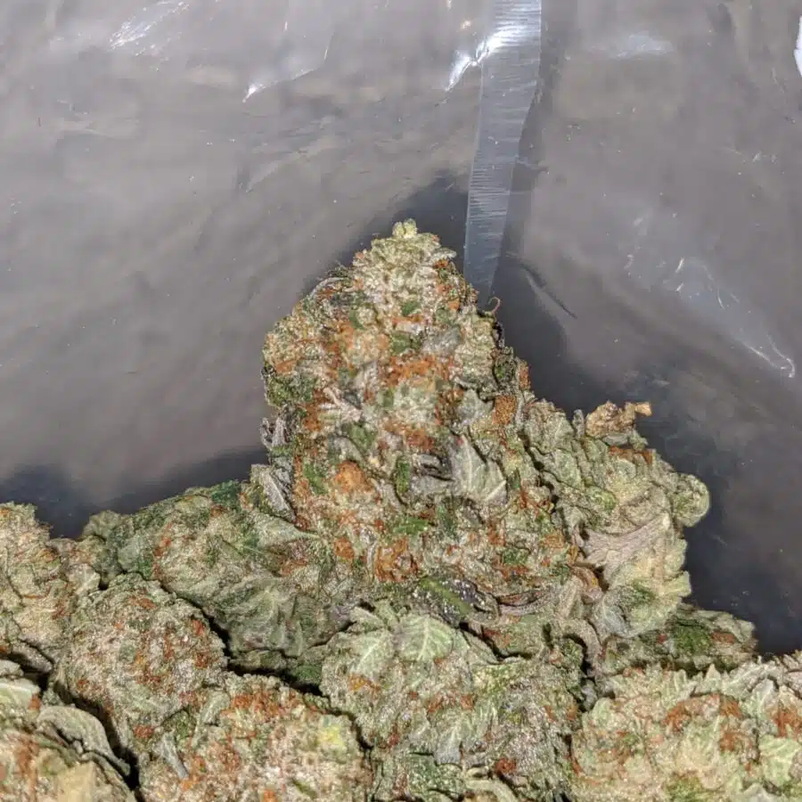 Death Star Bubba - Image 7
