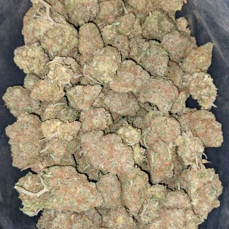 do si gelato 2 I Gelato