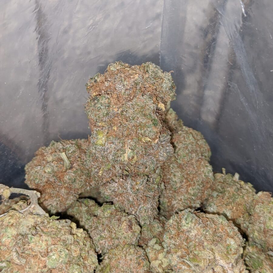 Gelato - Image 4