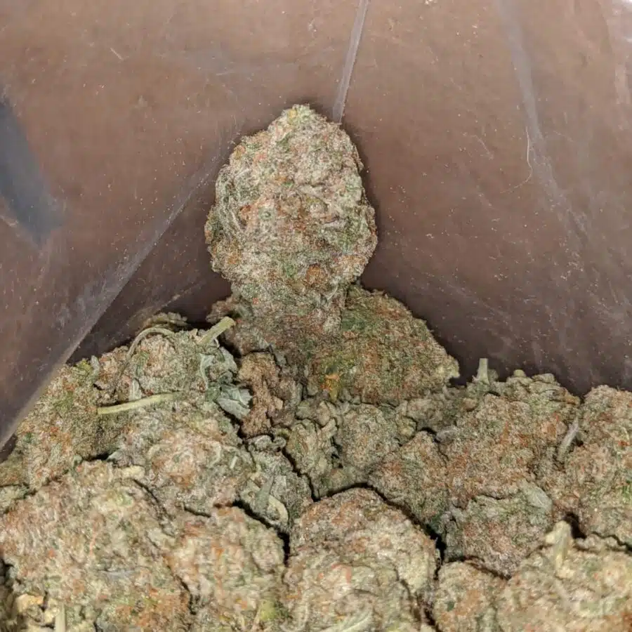 fruit cup 1 I $ 57 Oz - Fruit Cup