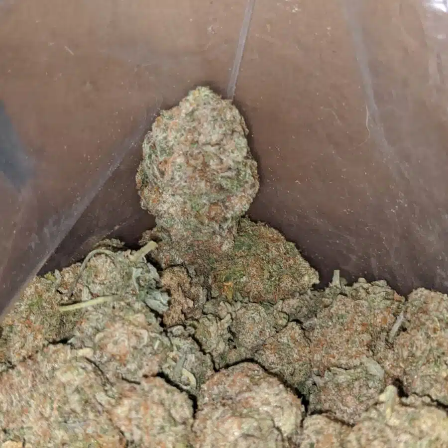 fruit cup 2 I $ 57 Oz - Fruit Cup